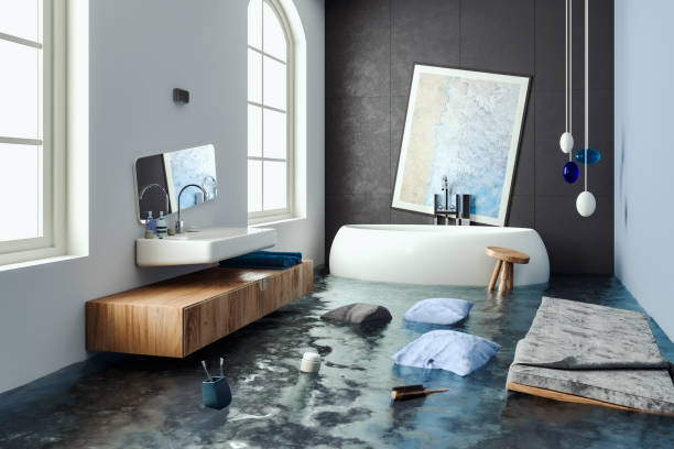 Best Professional water damage repair  in Judsonia, AR