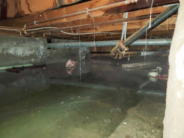 Best Water damage restoration specialists  in Judsonia, AR