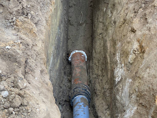 Best Basement water damage restoration  in Judsonia, AR