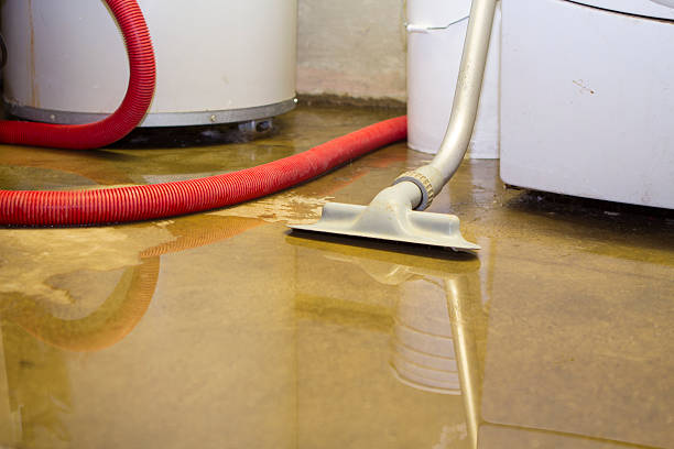 Best 24/7 water damage repair  in Judsonia, AR