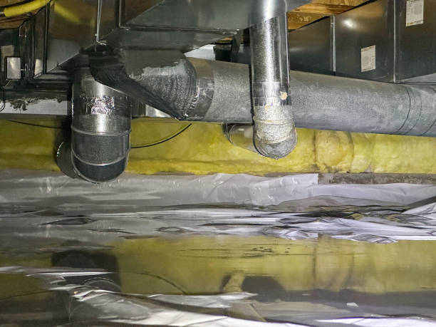 Best 24-hour water damage restoration  in Judsonia, AR