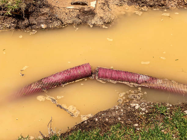 Best Residential water damage restoration  in Judsonia, AR