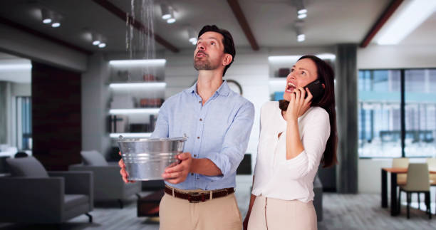 Best Water damage restoration cost  in Judsonia, AR