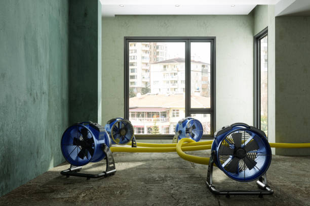 Best Flood restoration services  in Judsonia, AR